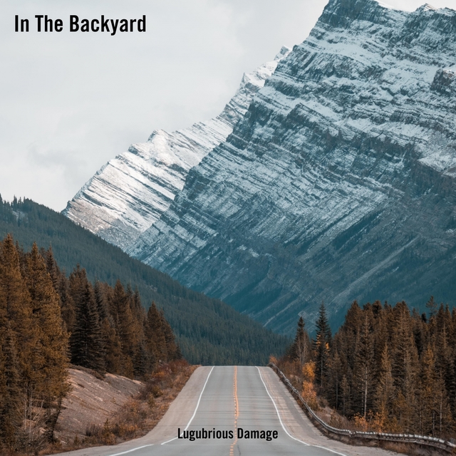 Couverture de In The Backyard