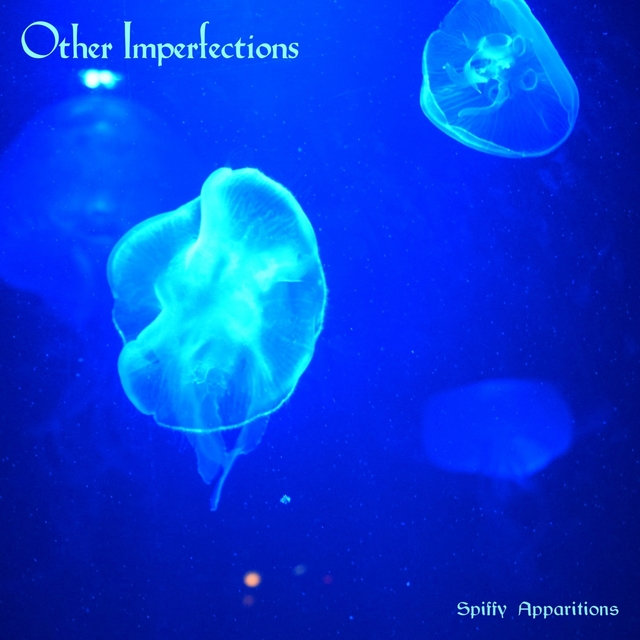 Couverture de Other Imperfections