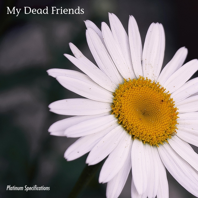 My Dead Friends