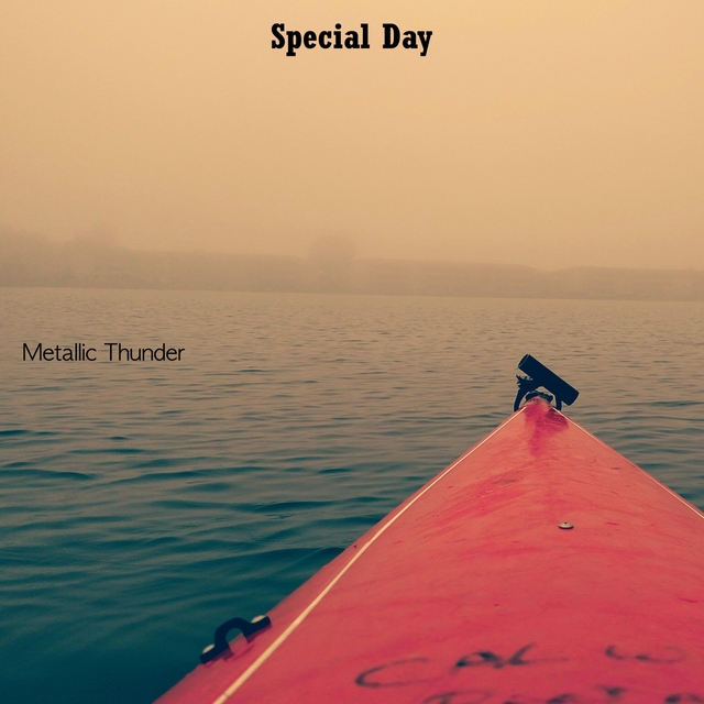 Couverture de Special Day