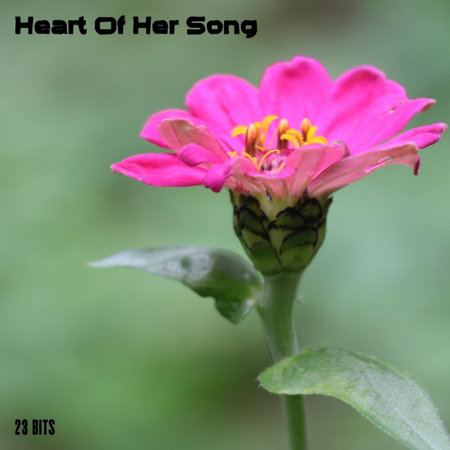 Heart Of Her Song