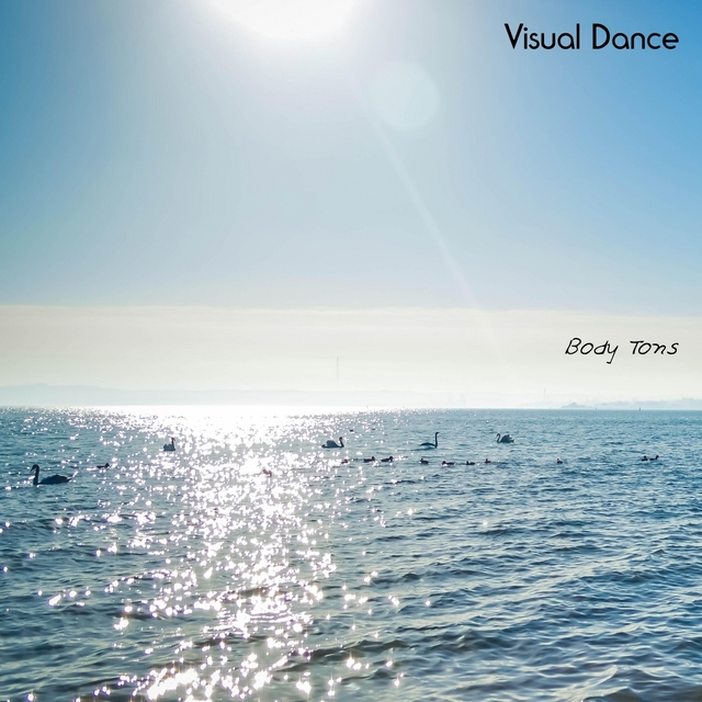 Couverture de Visual Dance