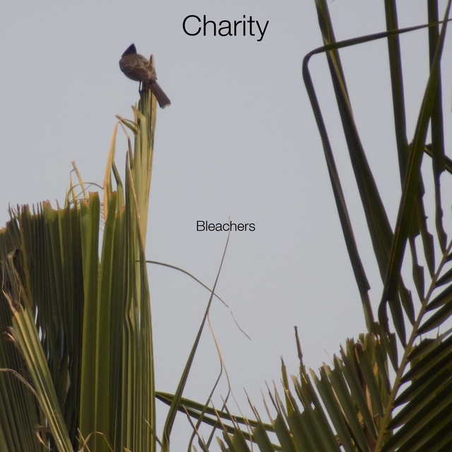 Couverture de Charity