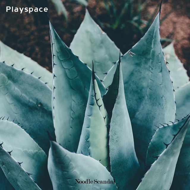 Playspace