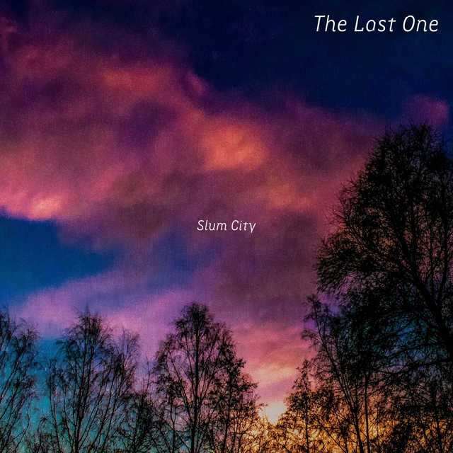 Couverture de The Last One