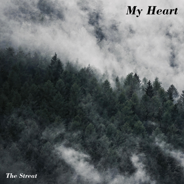 Couverture de My Heart