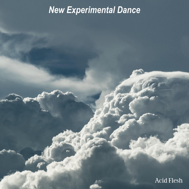 New Experimental Dance