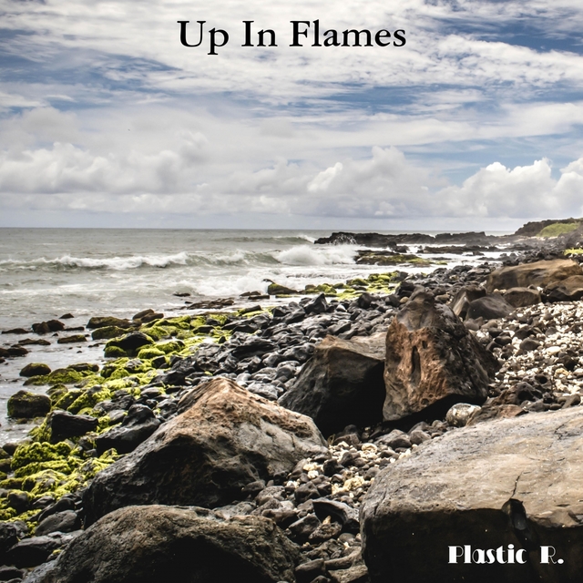 Couverture de Up In Flames