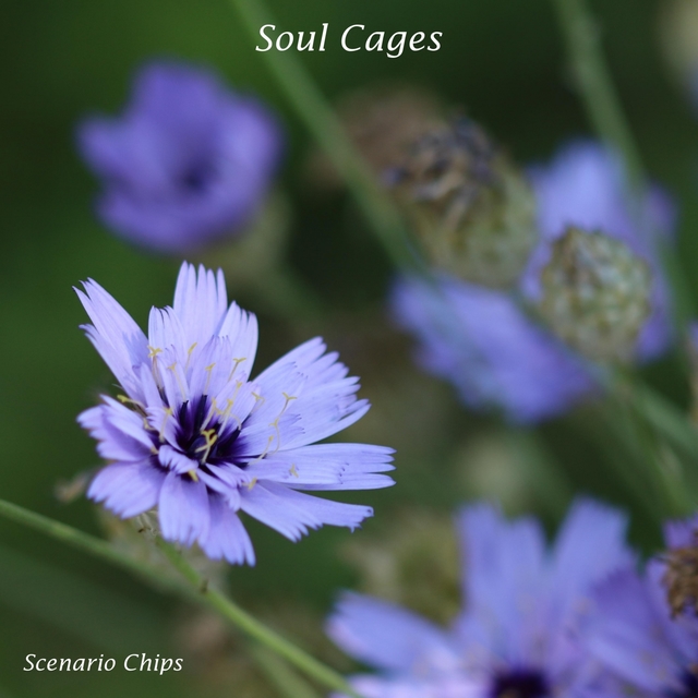 Couverture de Soul Cages