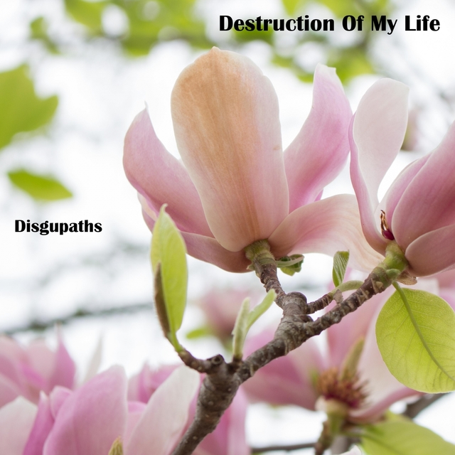 Couverture de Destruction Of My Life