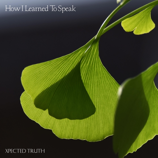 Couverture de How I Learned To Speak