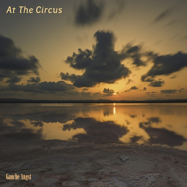 Couverture de At The Circus