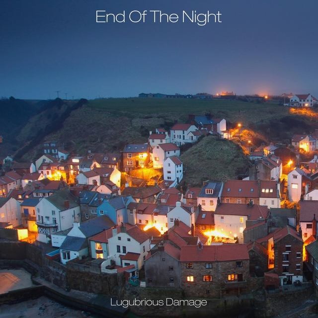 Couverture de End Of The Night