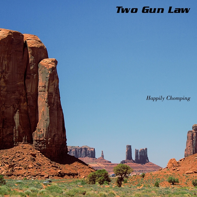 Two Gun Law