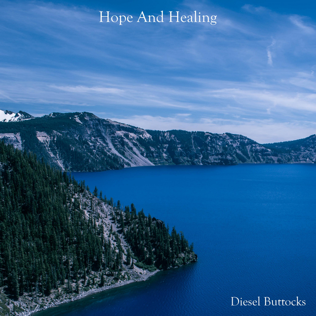 Couverture de Hope And Healing