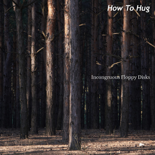 Couverture de How To Hug