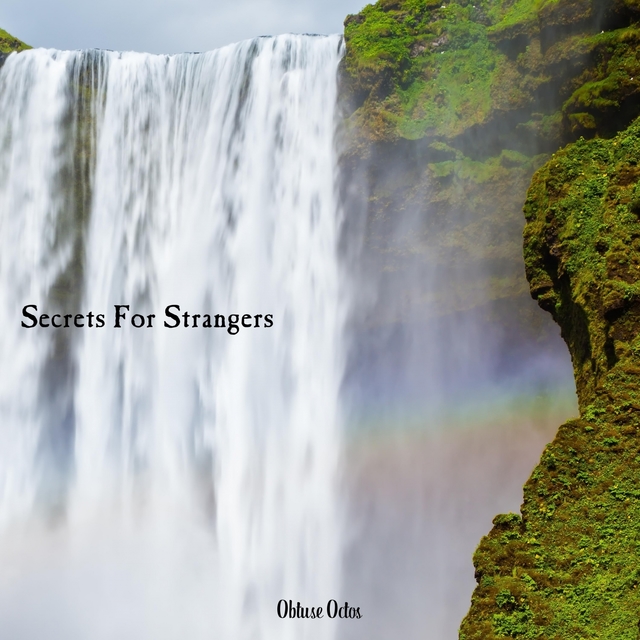 Couverture de Secrets For Strangers