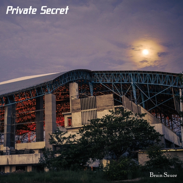 Couverture de Private Secret