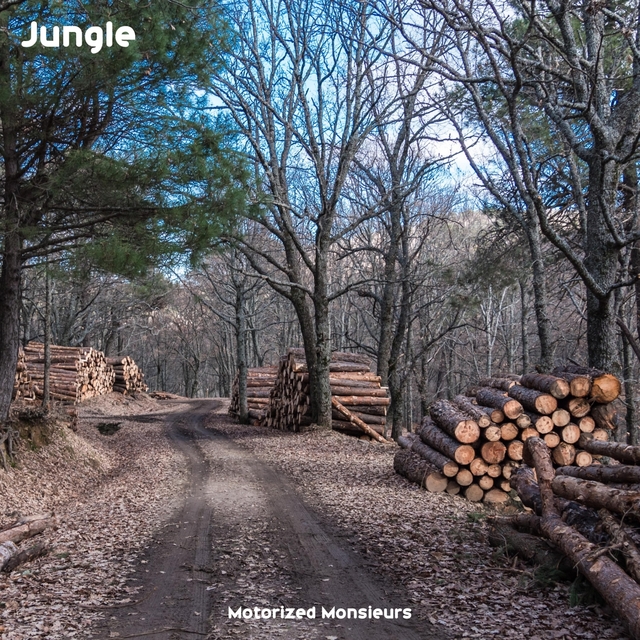 Couverture de Jungle