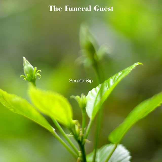 Couverture de The Funeral Guest