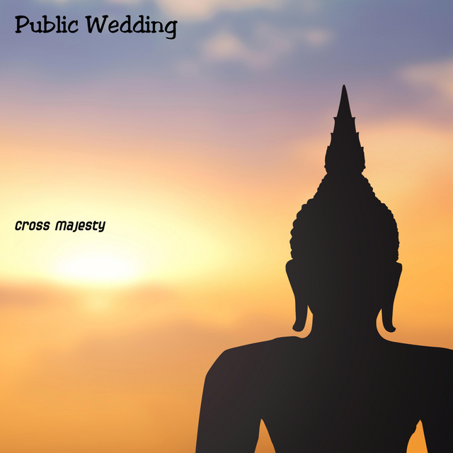 Couverture de Public Wedding