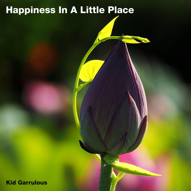 Couverture de Happiness In A Little Place