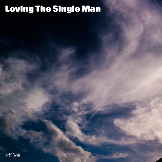 Couverture de Loving The Single Man