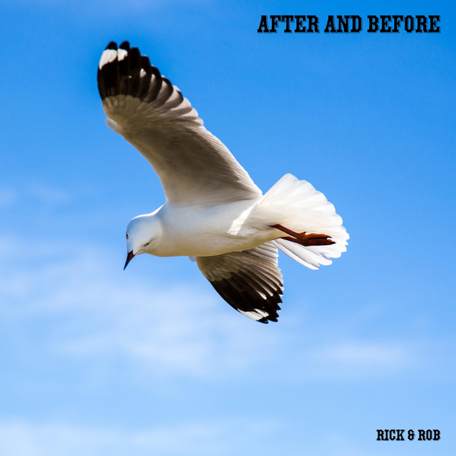 Couverture de After And Before