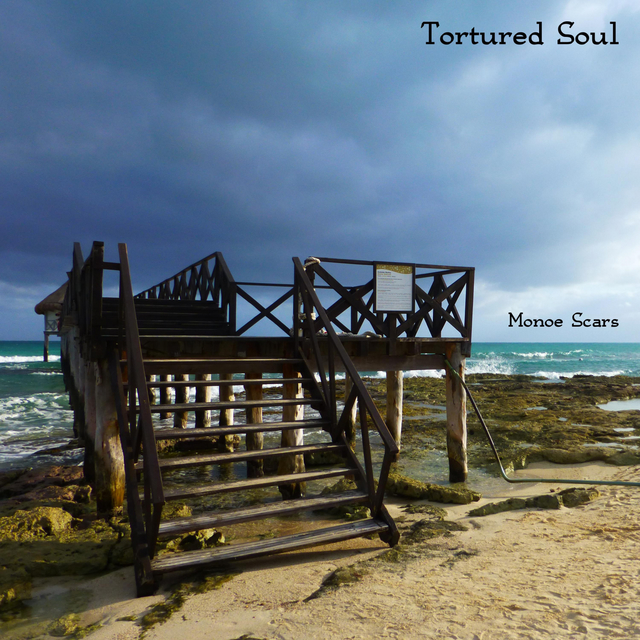 Tortured Soul