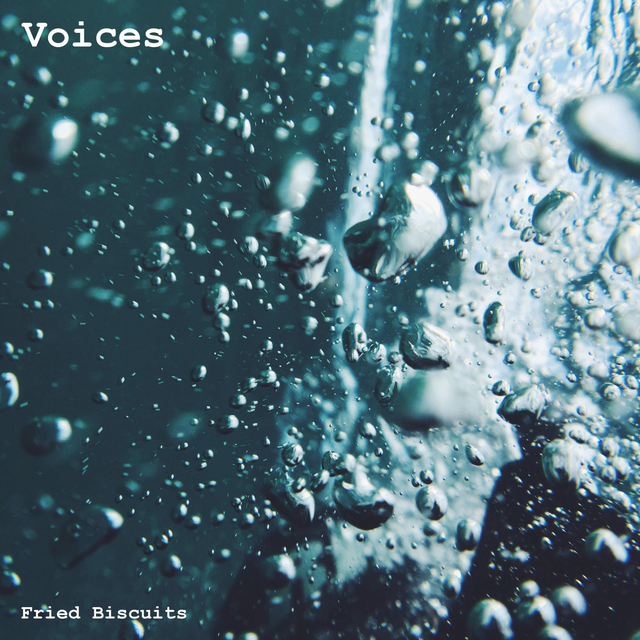 Couverture de Voices