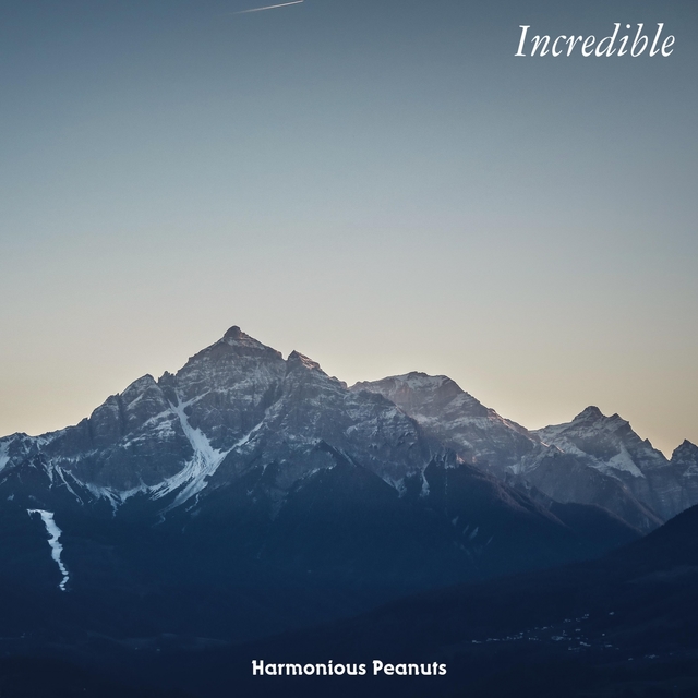 Couverture de Incredible