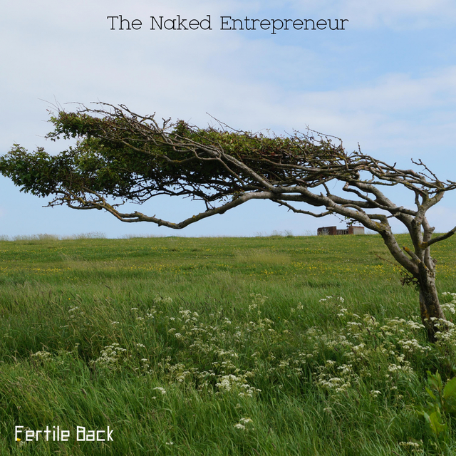 Couverture de The Naked Entrepreneur