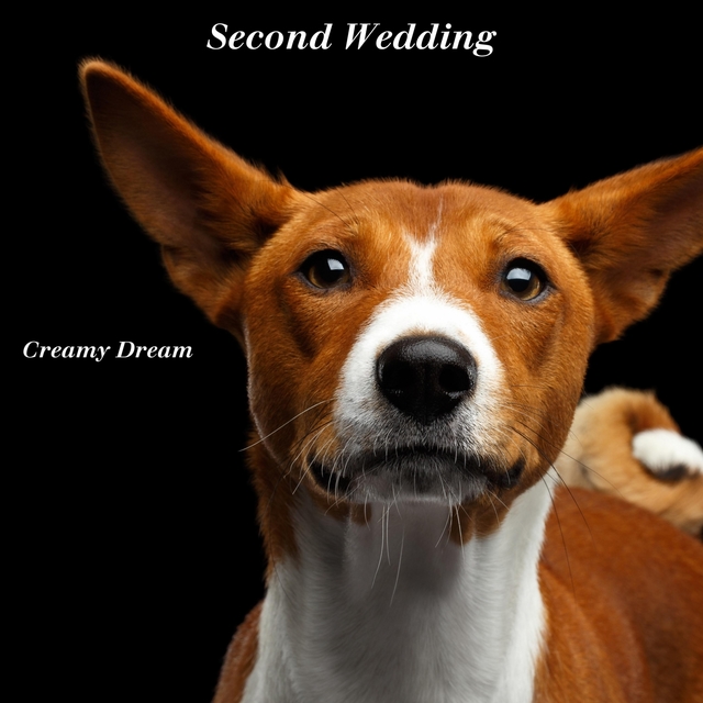 Couverture de Second Wedding