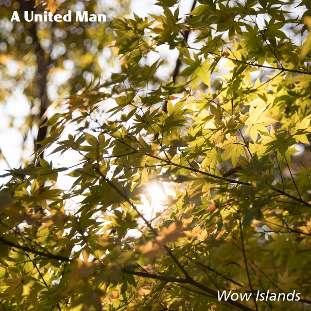 Couverture de A United Man