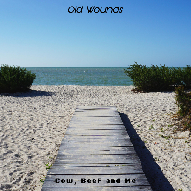 Couverture de Old Wounds