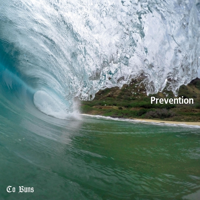 Couverture de Prevention