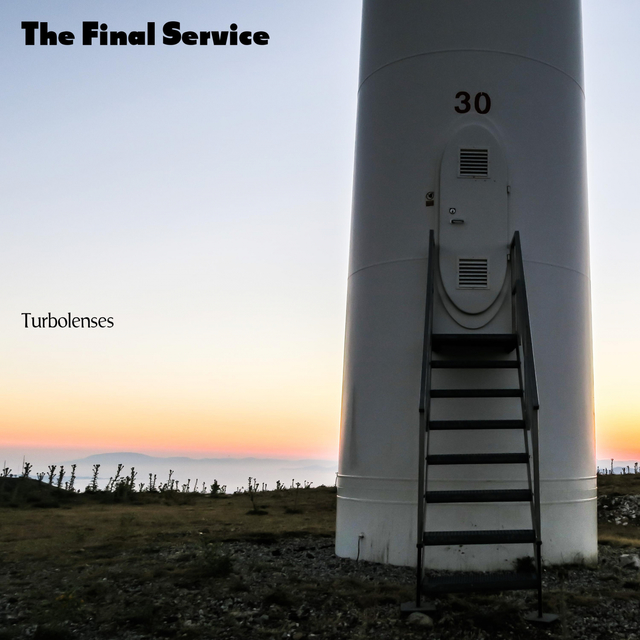 Couverture de The Final Service