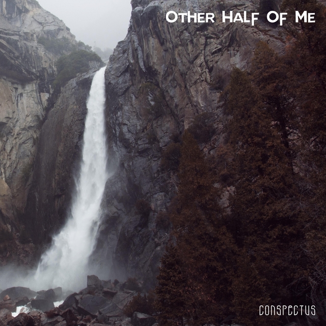 Couverture de Other Half Of Me