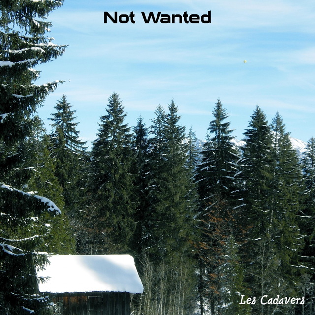 Couverture de Not Wanted