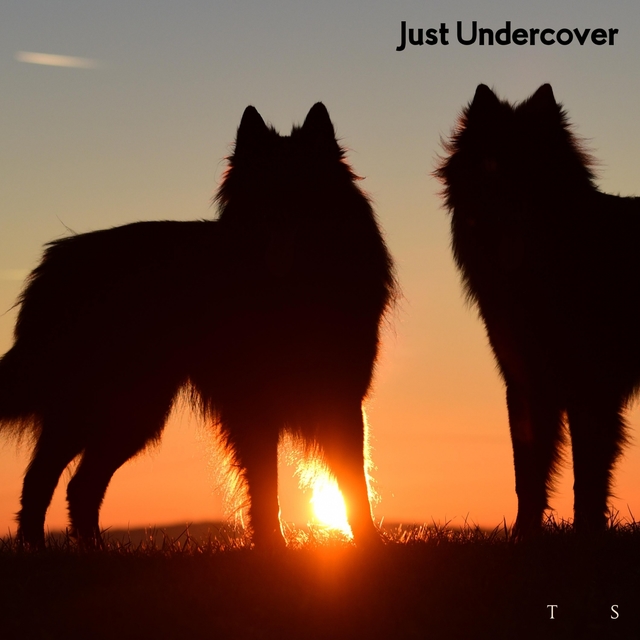 Couverture de Just Undercover