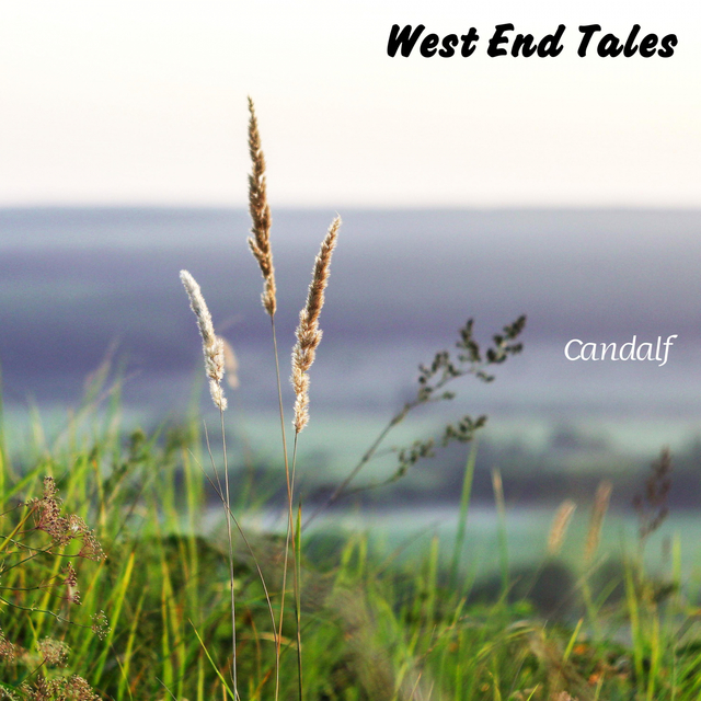 Couverture de West End Tales