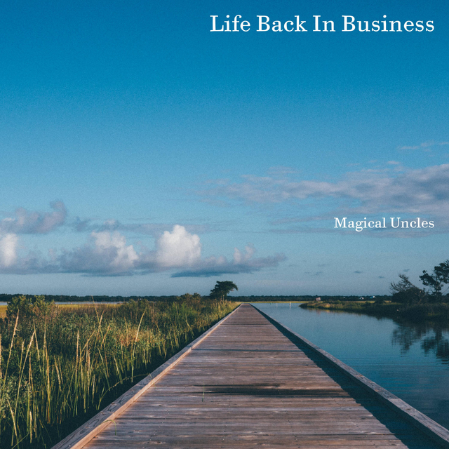 Couverture de Life Back In Business