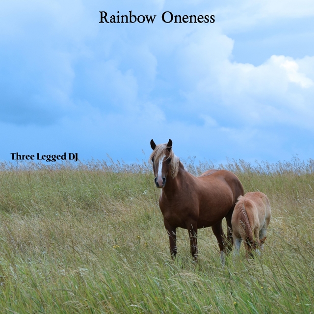Couverture de Rainbow Oneness