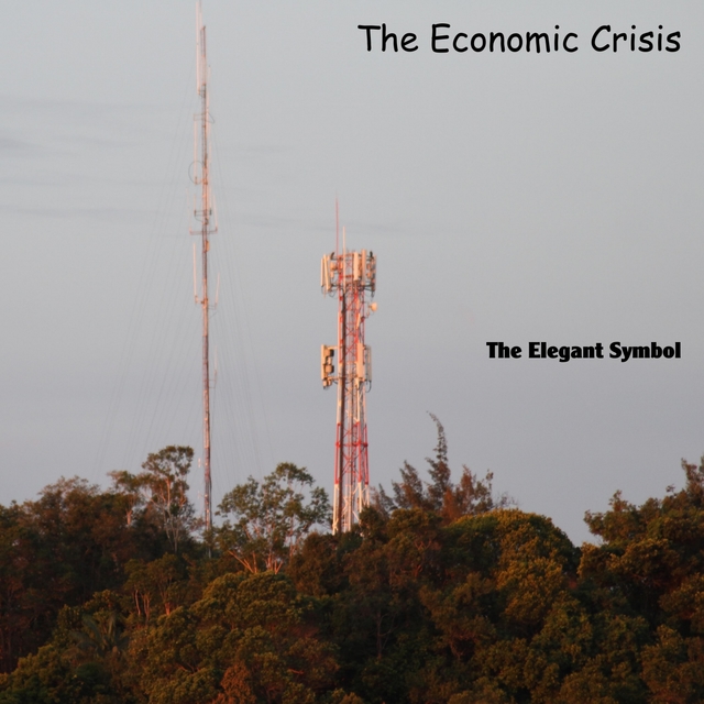 Couverture de The Economic Crisis