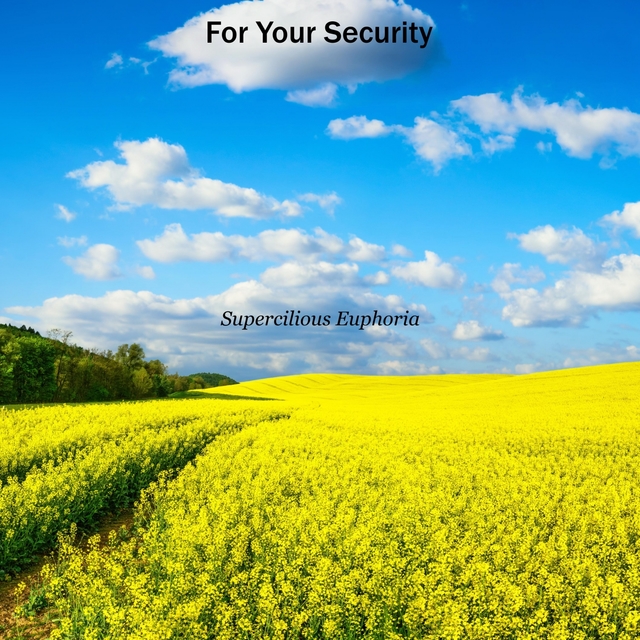 Couverture de For Your Security