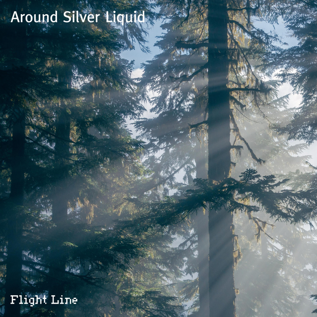 Couverture de Around Silver Liquid