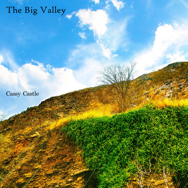 Couverture de The Big Valley