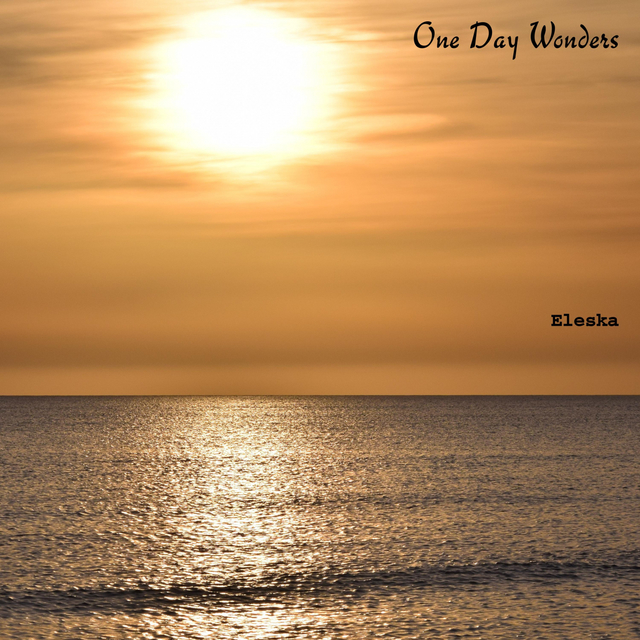 Couverture de One Day Wonders