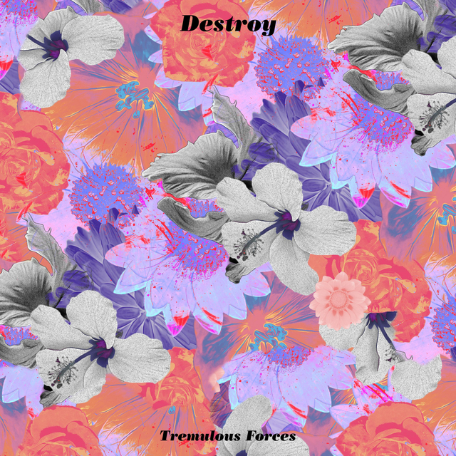 Couverture de Destroy