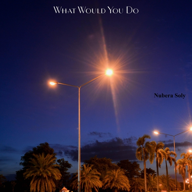 Couverture de What Would You Do